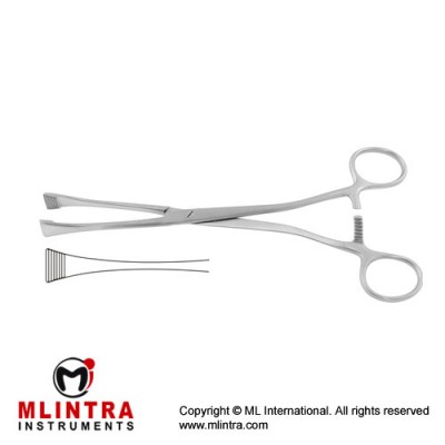 Green-Armytage Uterine Clamp Stainless Steel, 21 cm - 8 1/4" Green-Armytage Uterine Clamp Stainless Steel, 21 cm - 8 1/4"